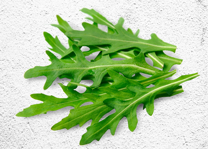 水野菜裂葉芝麻葉