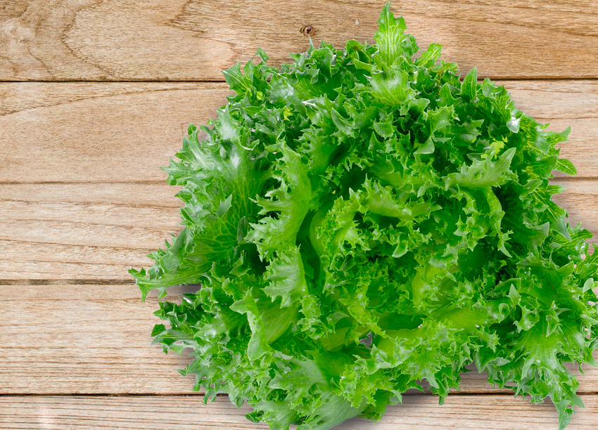水野菜綠火焰萵苣