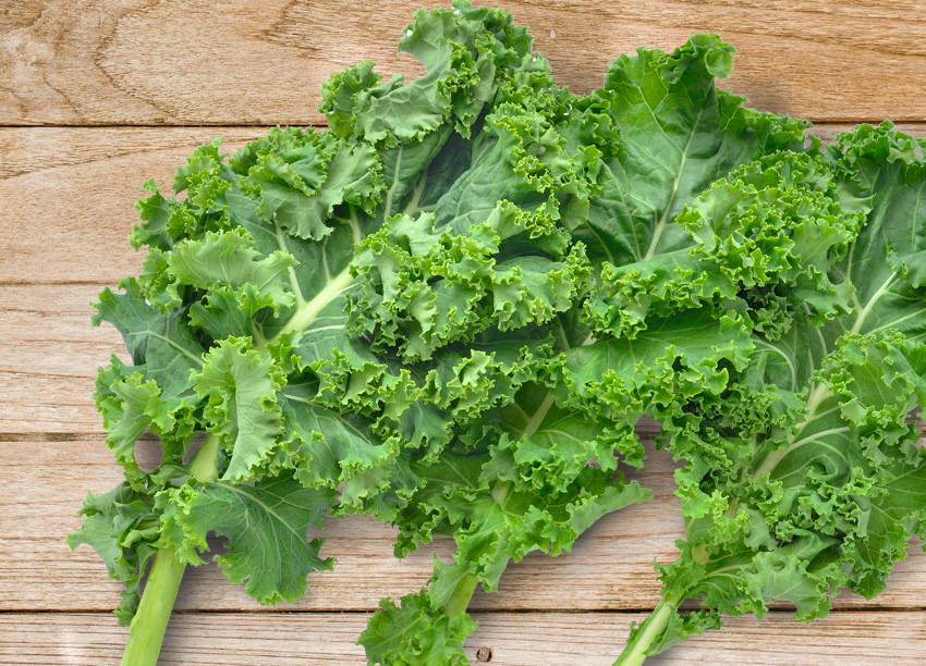 水野菜捲葉羽衣甘藍