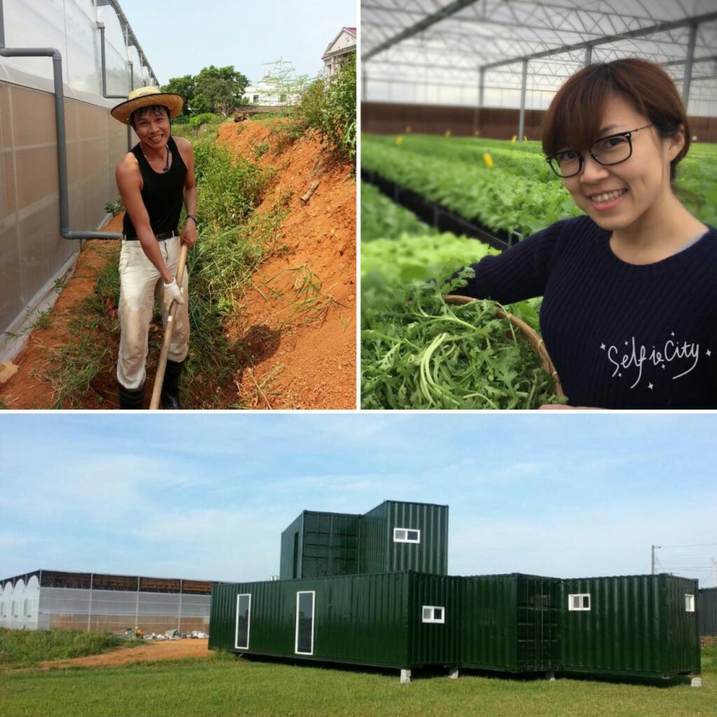 青農創業水野菜